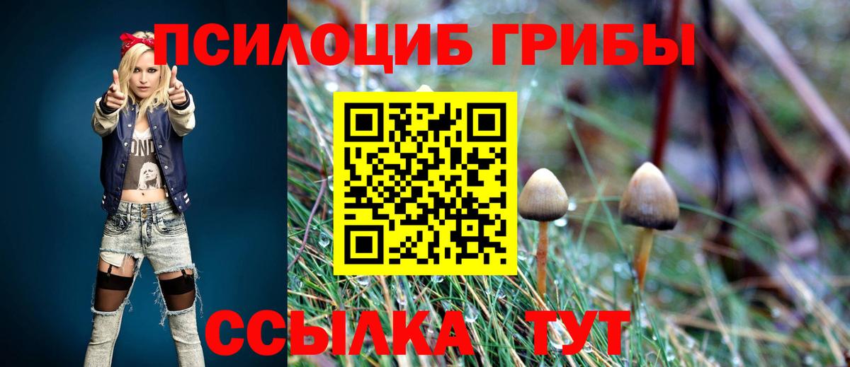Галлюциногенные грибы MAGIC MUSHROOMS  Вход с VPN  Прокопьевск 