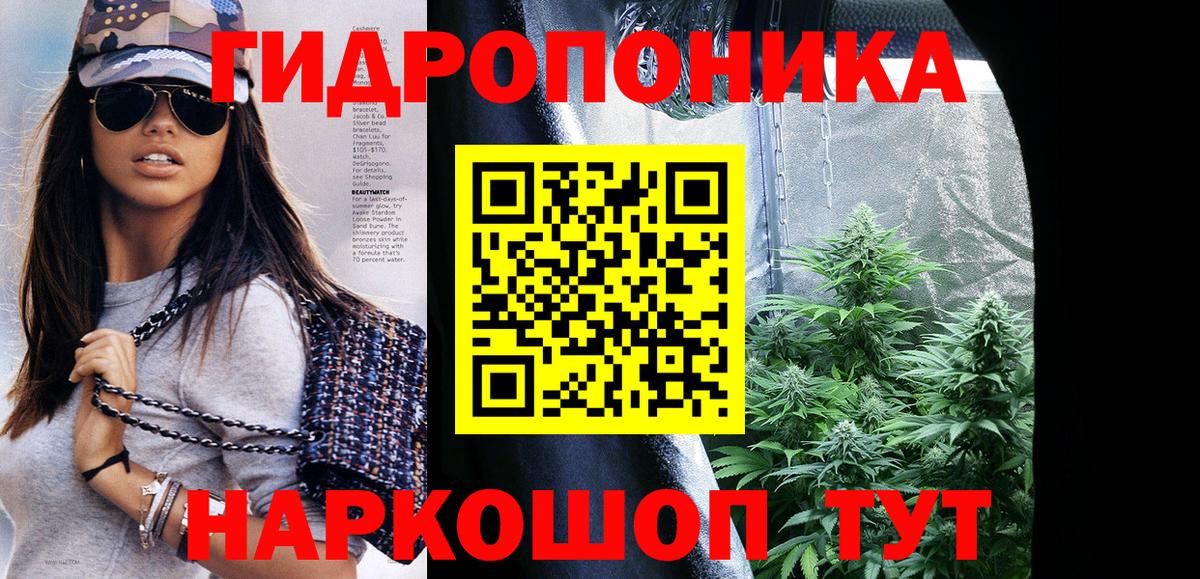 Бошки марихуана конопля Прокопьевск